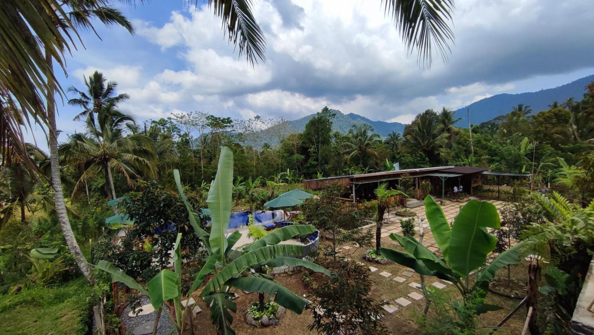 Sekumpul Bali Hidden Space Singaraja Exterior foto