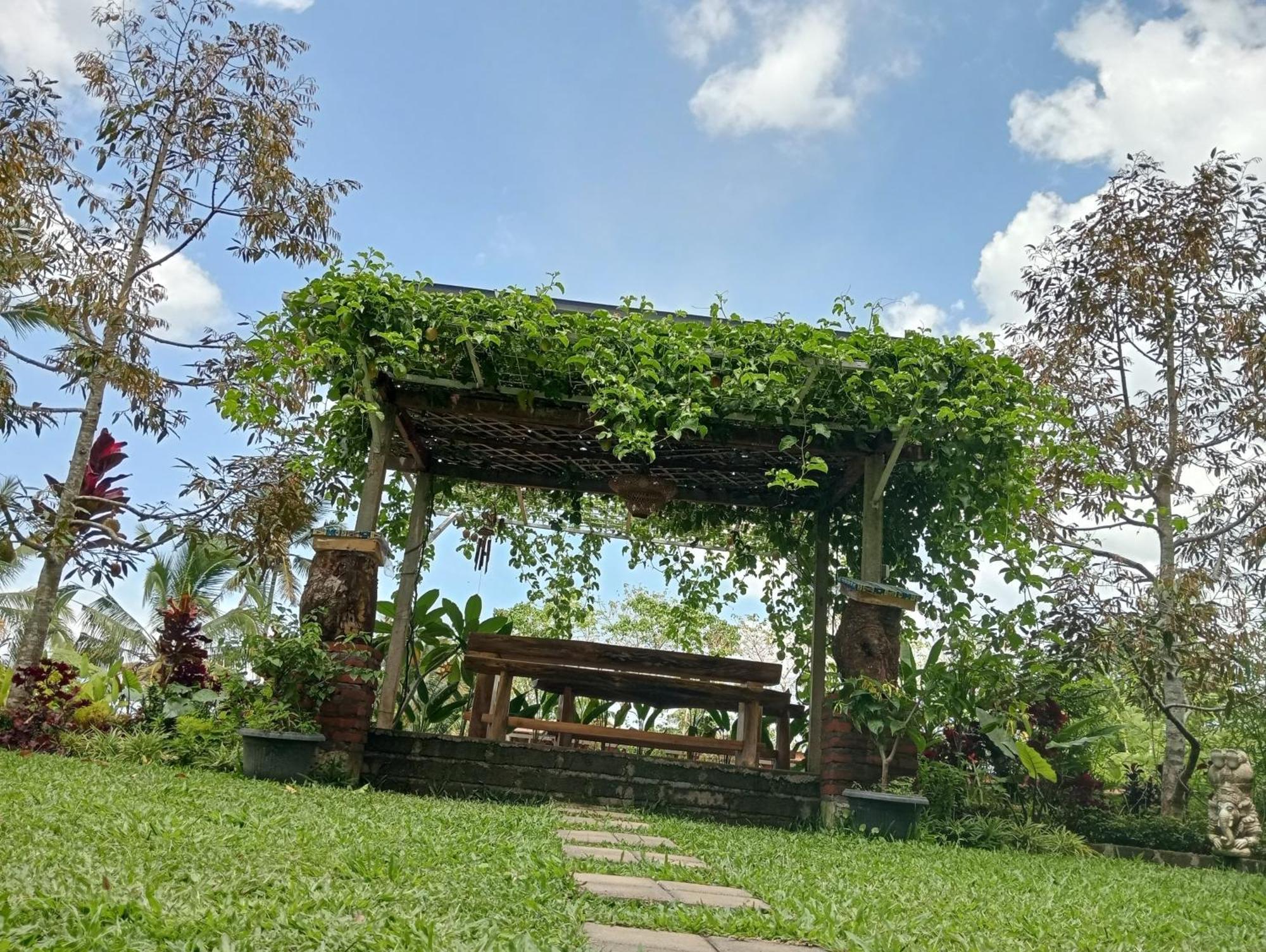 Sekumpul Bali Hidden Space Singaraja Exterior foto